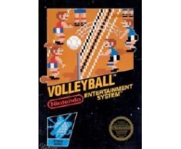 Nintendo Nes Volleyball (cartridge Only)