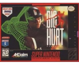 Super Nintendo Big Hurt Baseball