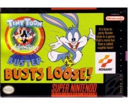 Super Nintendo Buster Busts Loose